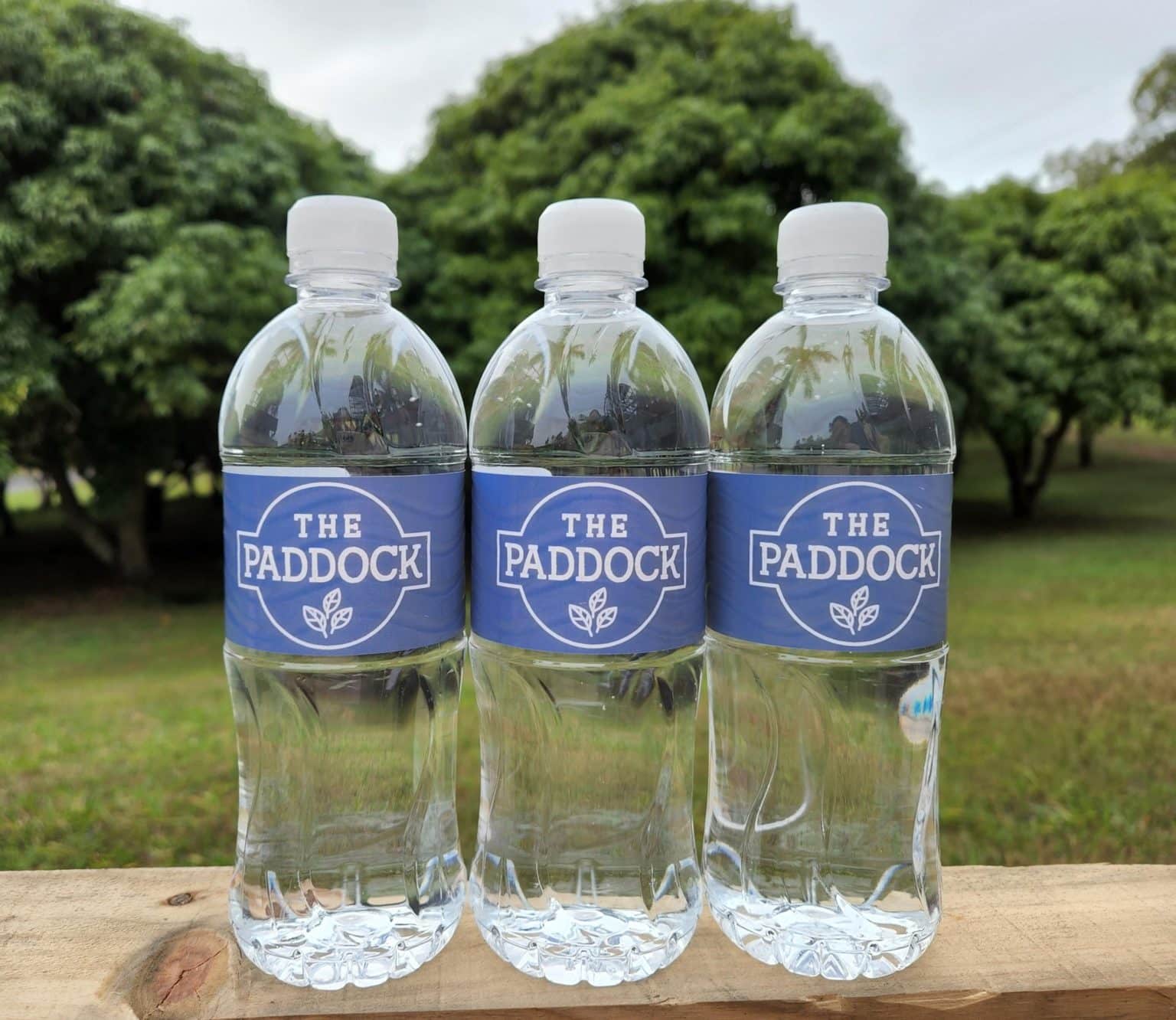 Promotional Spring Water Bottles | Bottled Spring Water