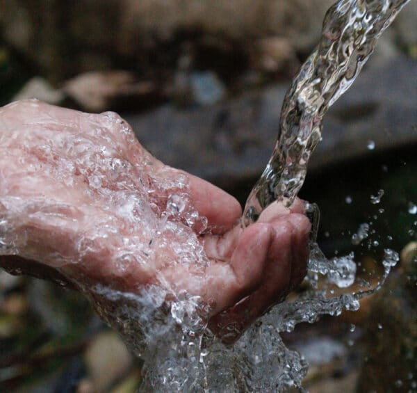 spring-water-vs-purified-water-what-s-the-difference