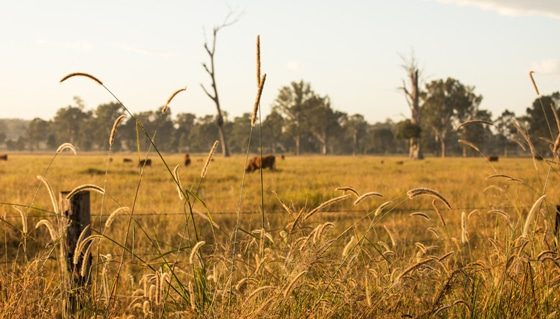 Outback Queensland Moranbah — Spring Water Online in Moranbah, QLD