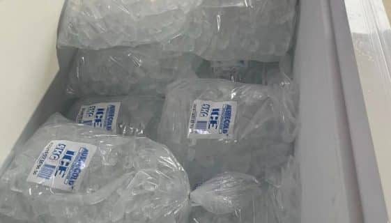 Ice Cubes Packed In Plastic Containers — Spring Water Online in Middlemount, QLD